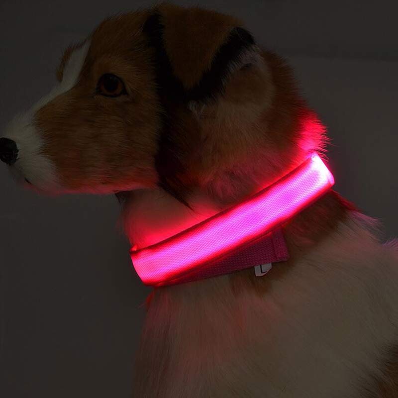 Coleira luminosa de LED para cães de estimação de náilon segurança noturna piscando brilho no escuro coleira para gatos ajustável suprimentos para animais de estimação